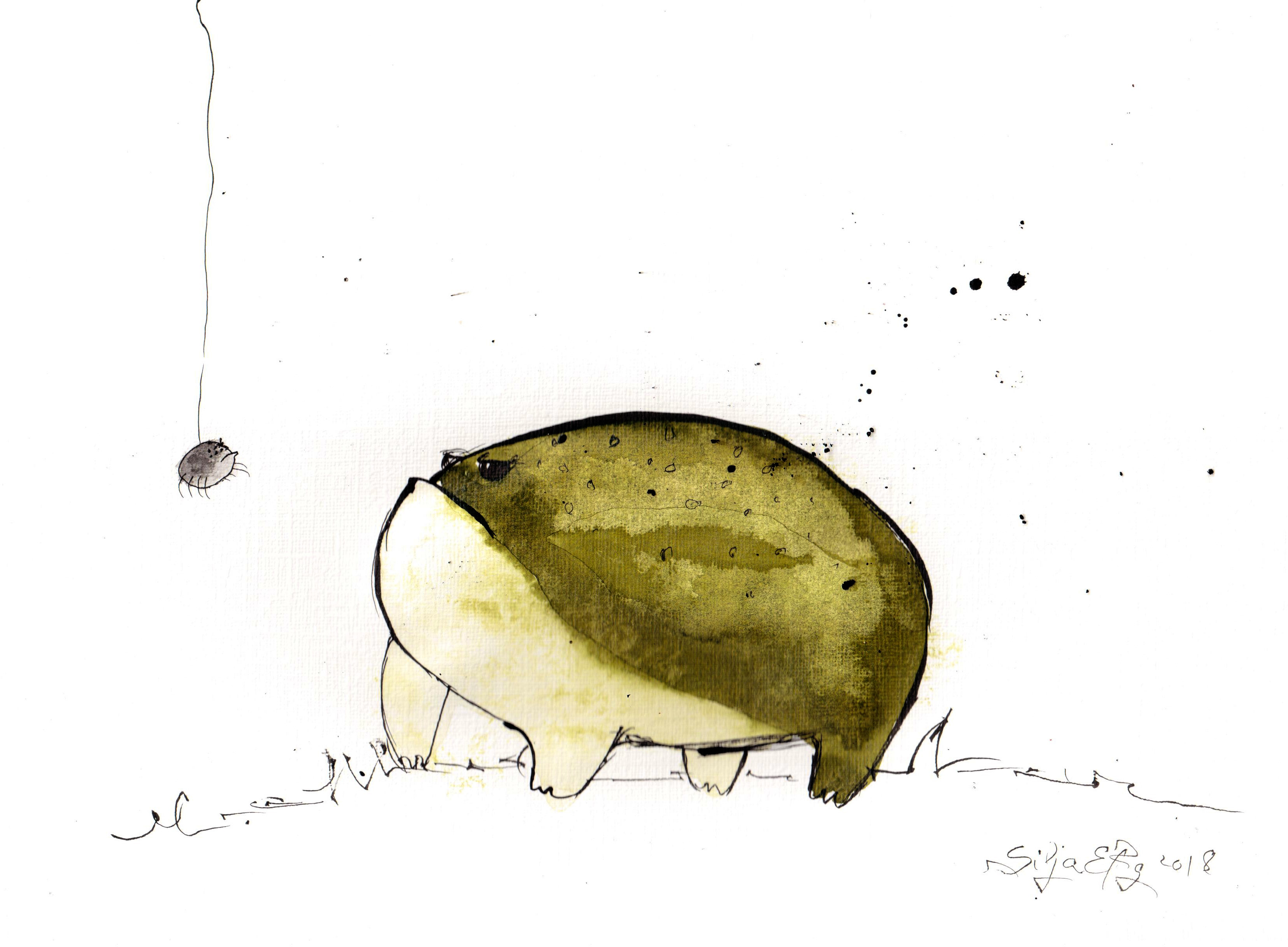 grumpy toad cartoon drawing ugly cute frog art by 5erg